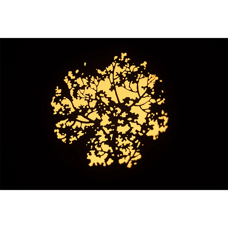 CTC 300 Profile
